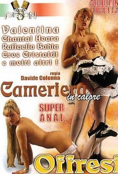 Cameriera in Calore Offresi (2007/DVDRip)