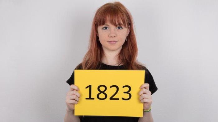 Niky  1823 (CzechCasting/CzechAV/2019/Standart quality)