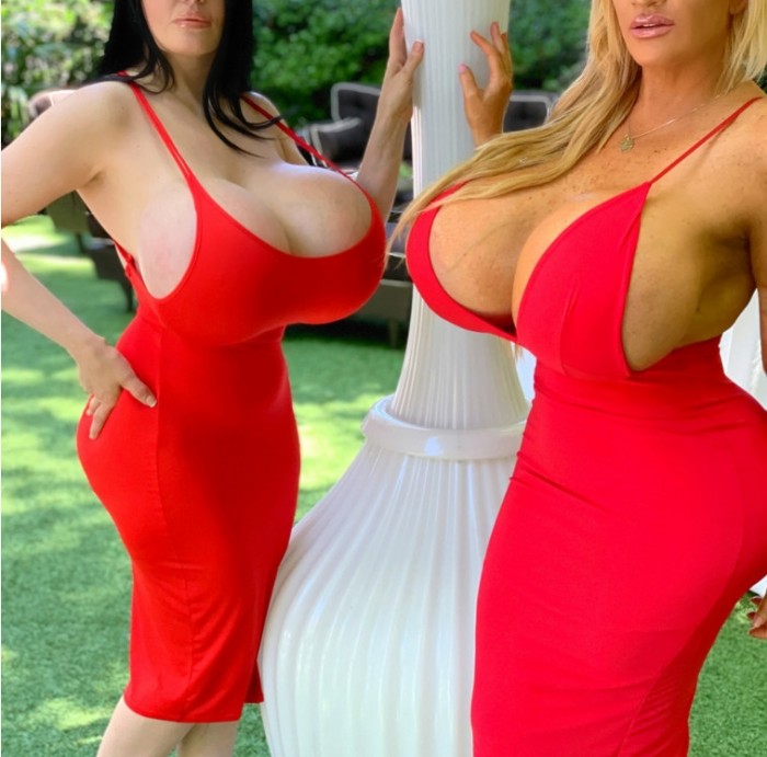 Foxy Menagerie Verre