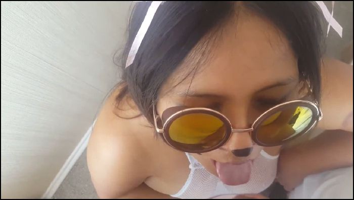 latin rain little kitty takes all her milk 2019 02 20 vcshMK Preview