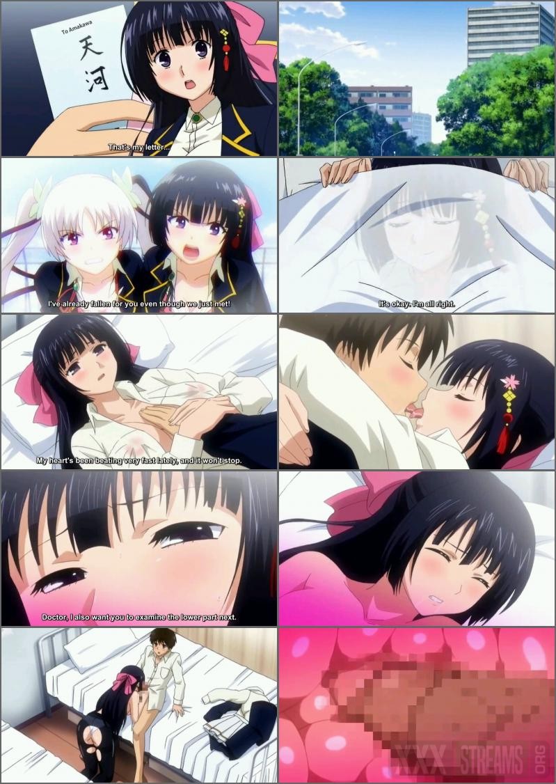 Hentai 10451 Ojou Sama Yomeiri Kousou Vol 1 Htm Hentai 10451 Ojou Sama Yomeiri Kousou Vol 1 Htm