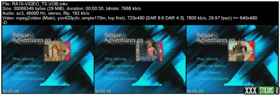 joey silveras rogue adventures 1998 2010 evil angel 16xdvd9