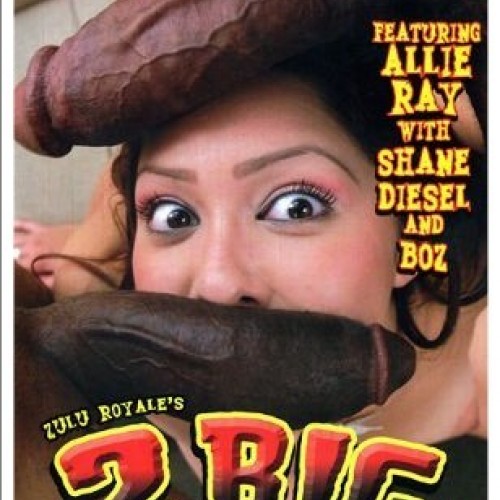 2 Big 2 Be True 1-16 | Complete Series | Freaky Deaky | Bone Digital | 2006 -... 1